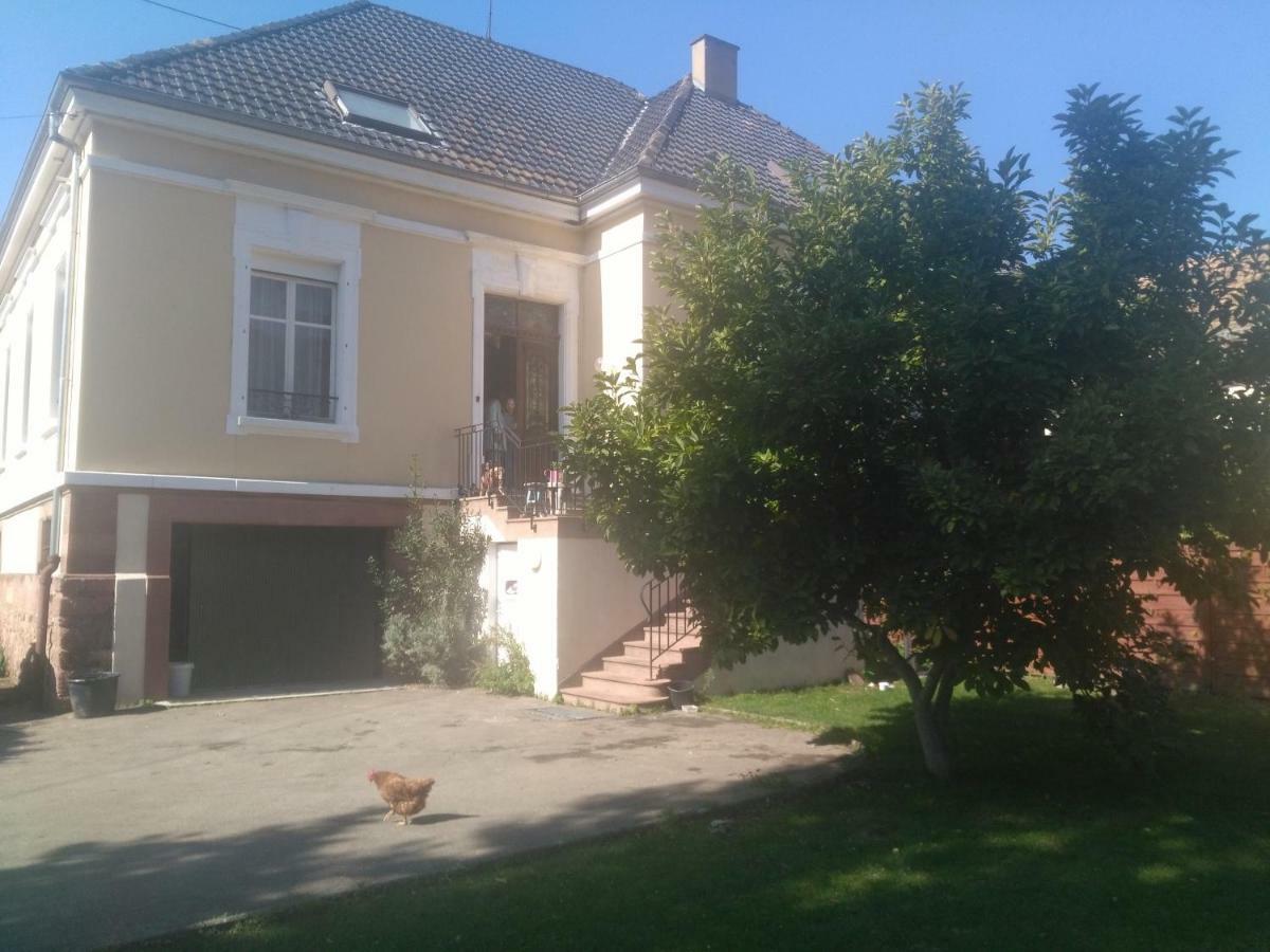 Chambres Privatives Chez L'Habitant Guebwiller Exterior photo